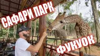 Винперл Сафари на Фукуоке. Кому стоит поехать? Вьетнам. Обзор