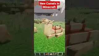 New Camels in Minecraft #gameplay #build #minecraft #new #command