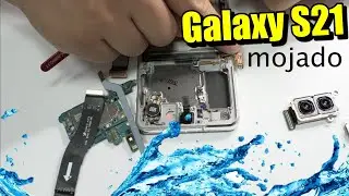 How to Repair Samsung S21 Wet!!
