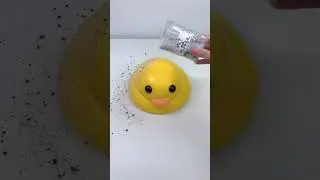FUFUSQUISHY ASMR 🐤🐤2100g Rubber Duck