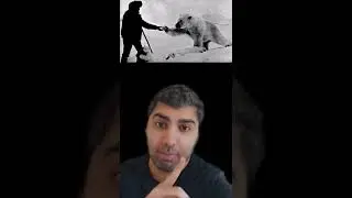 Bu fotoğraf dünya'nın en iyi 5 fotoğrafından biri seçildi 