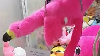 Новый аппарат хватайка и жадность веет от него.