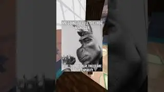 Funny Memes!