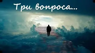 Один ответ на три вопроса