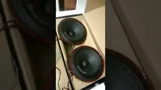 Reiss audio rs-m8px 20 cm 175 watt rms midrenge test videosu