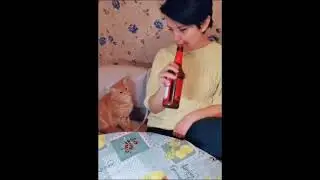 Кот не дает пить пиво хозяйке! Кот за ЗОЖ!