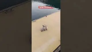 Земляяя... 