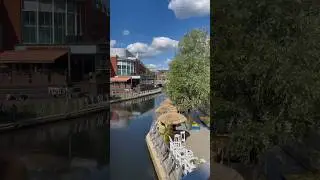 The Riverside, The Oracle #theoracle #reading