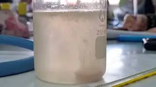 Velocità di reazione