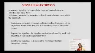 General Principles of Cell Communication, Intracellular Signaling Pathway Activation By Extracellula
