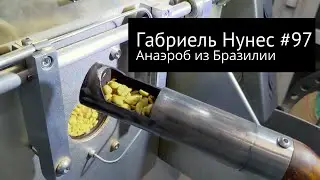 Обзор лота Бразилия Габриель Нунес 97 от Cofeewave