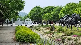 [ Seoul Forest park  Tulip Festival ]🌷 서울숲 튤립축제🌷
