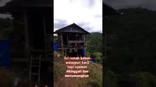 rumah kebun 