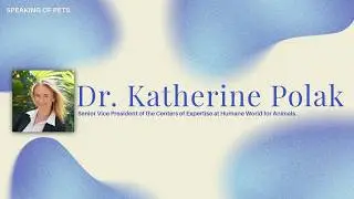 Humane World for Animals-what can YOU do to help animal abuse! | SOP ep. 127 - Dr. Katherine Polak
