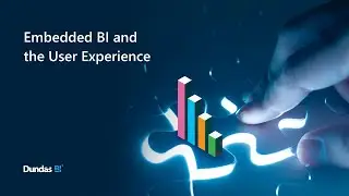 Embedded BI and the User Experience