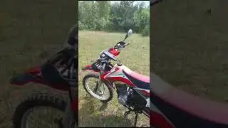KAYO  на берегах Западной двины.