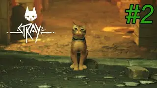 STRAY Gameplay -  Ep 2 -  Chapters 3 and 4 - The Flat and The Slums - Meeting Momo