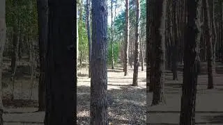 Умоляю Тебя Боже, пошли помощь с высочайших Твоих небес