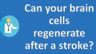 Can your brain cells regenerate after a stroke ? | Best Health FAQ Channel