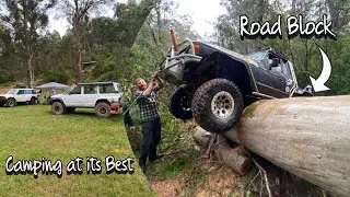 The BIGGEST Tree I’ve ever driven over | Good Times @ New years 2023