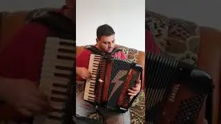 Butuman Sorin - Dimineata dupa nunta, Sanie cu zurgalai (cover V. Pandelescu)