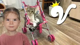 Playing cooking MAMA and ROLLS the kitty in the stroller Videos for kids!