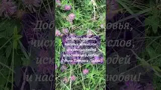 С днем Петра и Павла! #видеооткрытки #природа #лето #открытки #открыткиспраздником #пожелания