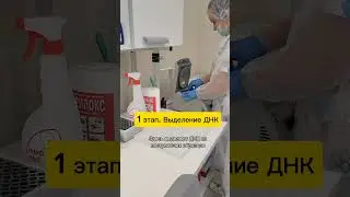 Как делают тест ДНК на отцовство