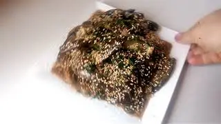 Супер закуска из БАКЛАЖАНОВ за 10 минут!!!