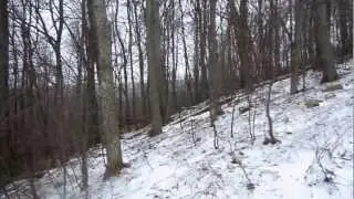 British Kid Vid