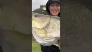 Fishing this year #shorts #viral #fishing #neverendthesend #fyp @BassFl.