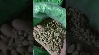 Java Liberica Fine Micro Lot
