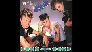 Stray Cats 