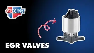 Carquest Part Spotlight: EGR Valves