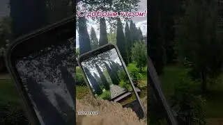 #доброеутро