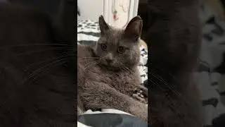 #рекомендации