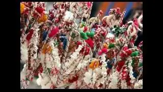 Сурвакари / Вейте ветрища и хали - песен