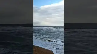 Эй золотая рыбка!
