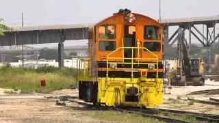 TZPR Industry Job Switches 