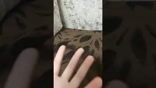 10 ноября 2021 г.