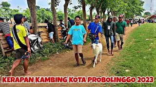 SUASANA KERAPAN KAMBING KOTA PROBOLINGGO 2023