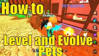 How to Level and Evolve your Pets in World Zero | Beginner Guide