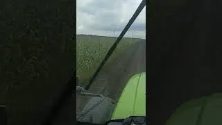 29 августа 2024 г.