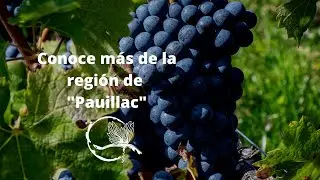 Conoce la historia y características de la región 