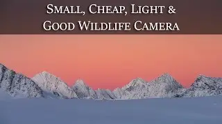Small, Cheap, Light, Awesome Wildlife Camera?