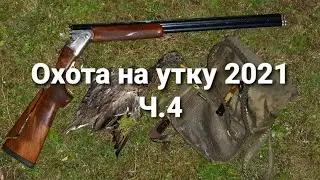 Охота на утку 2021. Ч.4