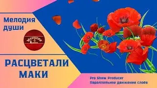 Расцветали маки.