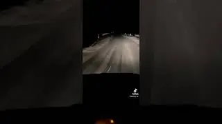1 декабря 2023 г.