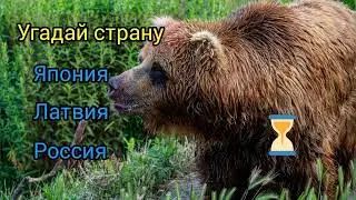 Только 7% людей знают ответ на всё вопросы. Угадай страну по животным. #страна #животные #угадай