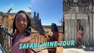 IS THIS AFRICA? - TRAVEL VLOG: LONGNECK MANOR AND ABSOLUTE CHARMED SAFARI WINE TOUR